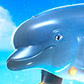 Dolphin Cash  слот