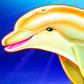 Символ игрового автомата Dolphin Gold