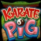Символ игрового автомата Karate Pig
