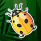 Символ игрового автомата Beetle Bingo Scratch