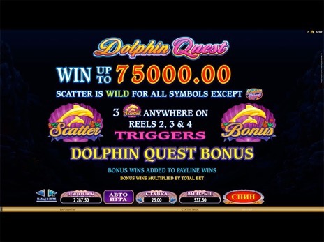 Онлайн слоты Dolphin Quest описание бонус игры