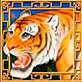 Символ игрового автомата Tiger Moon